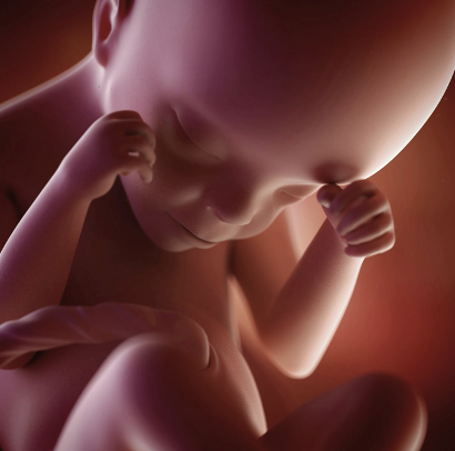 Second Semester: 24 Weeks