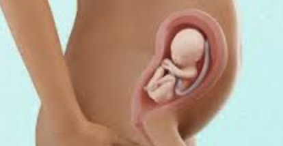 Third Trimester: 28-40 Weeks