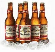 Budweiser Boycott