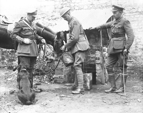 ⓢLeo Le Boutillier, Thomas-Louis Tremblay and French-Canadian Soldiers