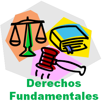 2007- Promoción y garantia de los derechos fundamentales