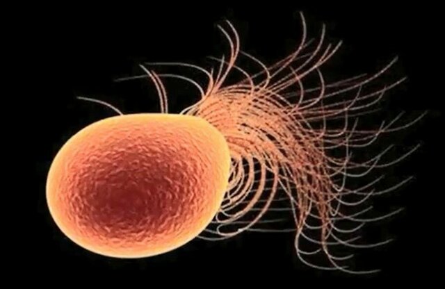 2.2 MILLONES DE AÑOS