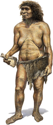 230 MIL AÑOS - 30 MIL AÑOS