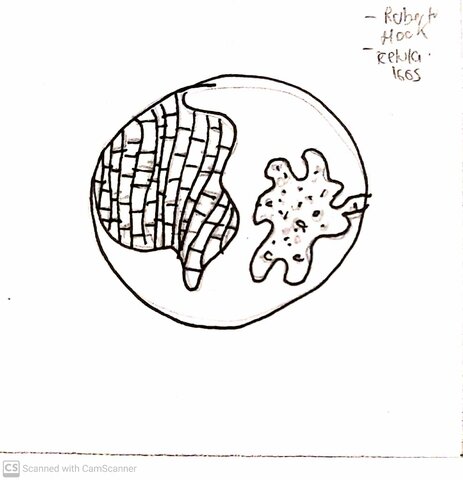 Robert Hooke