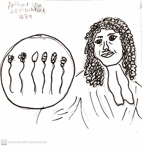 Leeuwenhoek