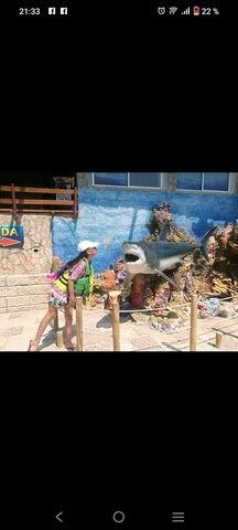 I win a sports scholarship and a trip