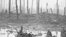 Timeline: Guerra 1914