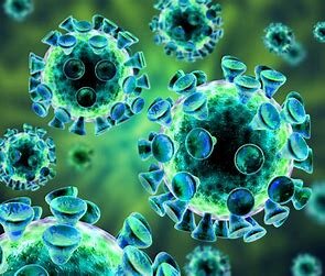 ES INFECTADA INTERNET POR PRIMERA VEZ CON UN VIRUS TROYANO