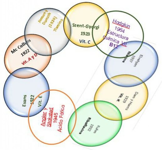 Descubrimiento de las Vitaminas (1922 al 1964)