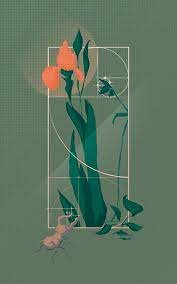 persa Al-Khwarizmi introduce el seno y el coseno en su libro