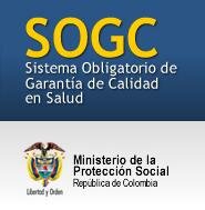 Decreto 2309 de 2002