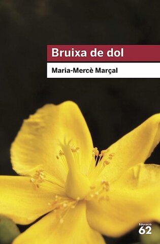 Bruixa de dol