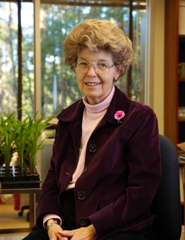 La creación de alimentos transgénicos