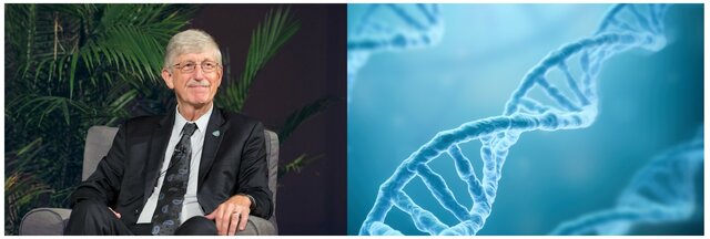 Clonación posicional