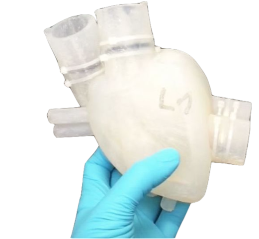 Órganos artificiales