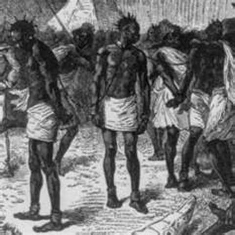 Congress and African Slaves
