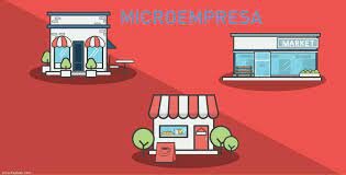 Director General de Emprendimiento (DIRCE)