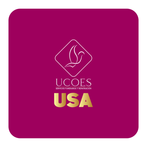 FASE 3 INICIO DE OPERACIONES