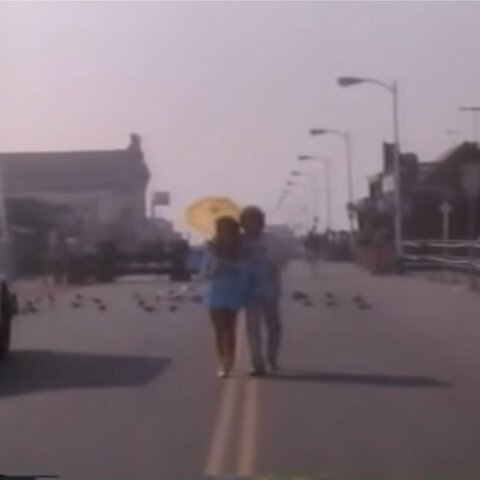 forever - vanilla chic