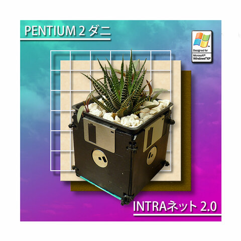 INTRA​ネ​ッ​ト 2​​​.​​​0 - PENTIUM2  ダニ