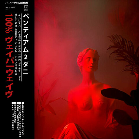 100% VAPORWAVE - PENTIUM 2 ダニ