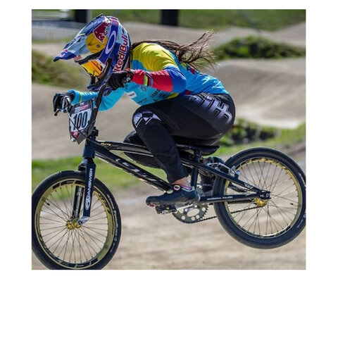 INTRODUCCION EN EUROPA