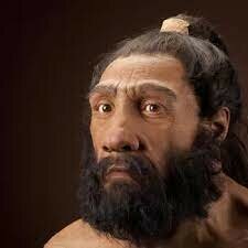 homo neanderthalensis