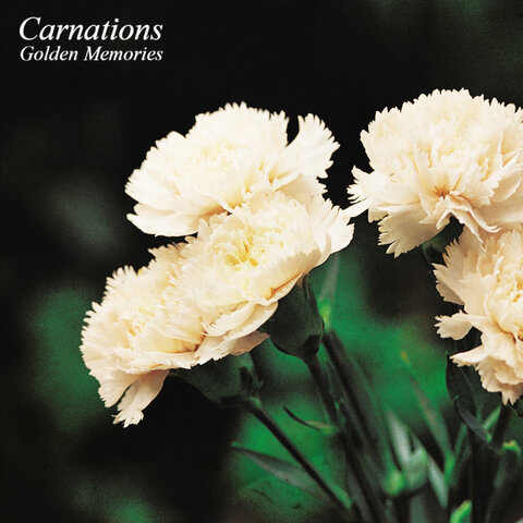 Carnations - Golden Memories