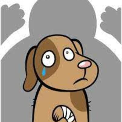 Timeline: maltrato animal