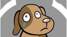 Timeline: maltrato animal