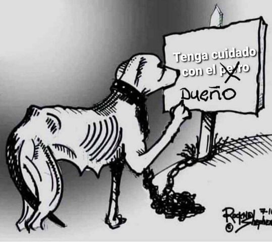 DECLARACIÓN UNIVERSAL PARA EL BIENESTAR ANIMAL