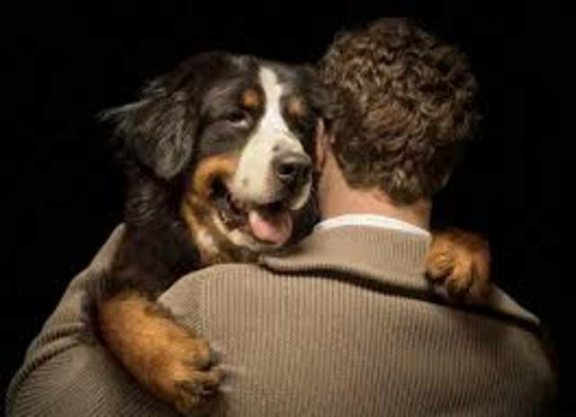 DECRETO 1666 DE 2010