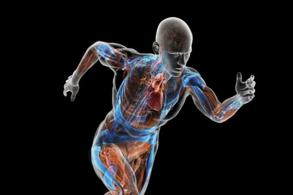 (Biomecanico) Biomecánica humana