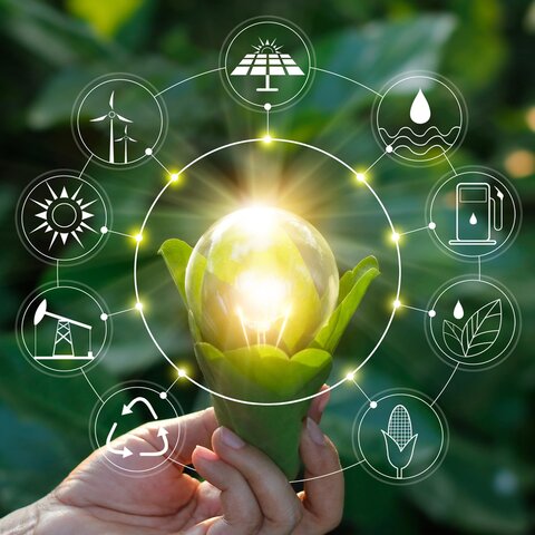 Impulso a las energías renovables