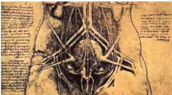 Herófilo de Calcedonia