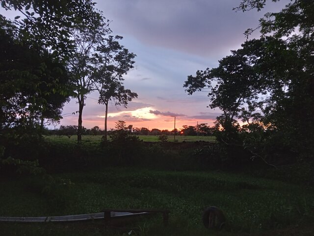 El dia de mi nacimiento