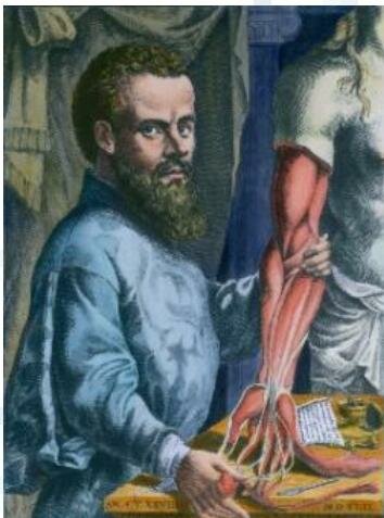 Andrés Vesalio