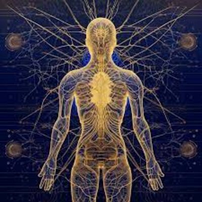 Timeline: UN POCO DE HISTORIA SOBRE EL ESTUDIO DEL SISTEMA NERVIOSO