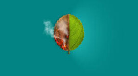 Timeline: cambio climatico