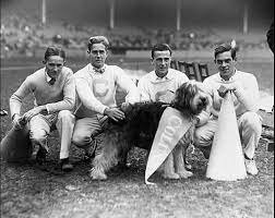 17 DE JULIO DE 1920 Influencia en la actuación