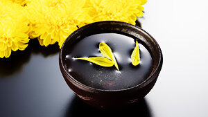 Chōyō No En: Festival del crisantemo