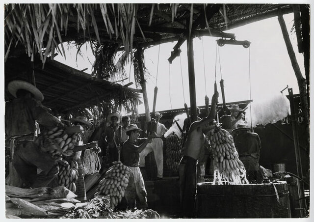 Ingresó la United Fruit Company (UFCO) a Guatemala