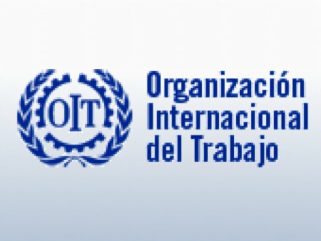 Organización Internacional del Trabajo y la  Organización Mundial de la Salud (OIT-OMS)