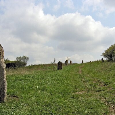 Timeline: Моя карьера