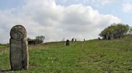 Timeline: Моя карьера