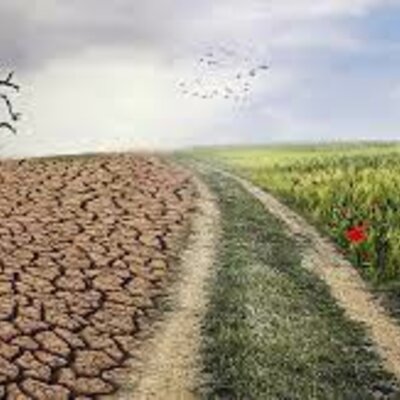 Timeline: Evolución en el cambio climático