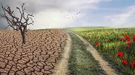Timeline: Evolución en el cambio climático