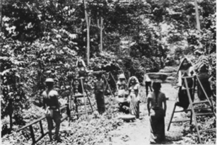 Reglamento de Jornaleros de Guatemala