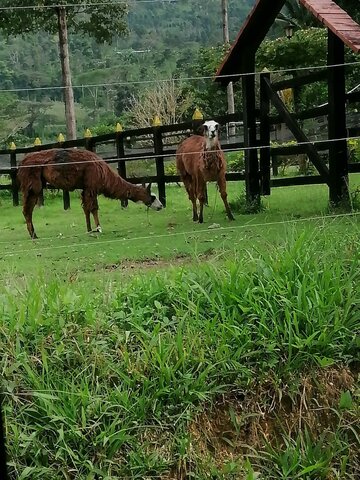 We travel to San Vicente De Chucuri