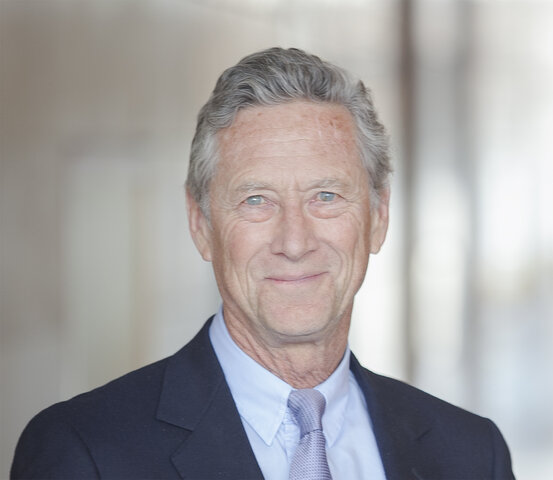 Olivier Blanchard destaca los rasgos característicos de esta nueva síntesis, que incluye elementos tanto de la teoría keynesiana como de los modelos neoclásicos de equilibrio general intertemporal.